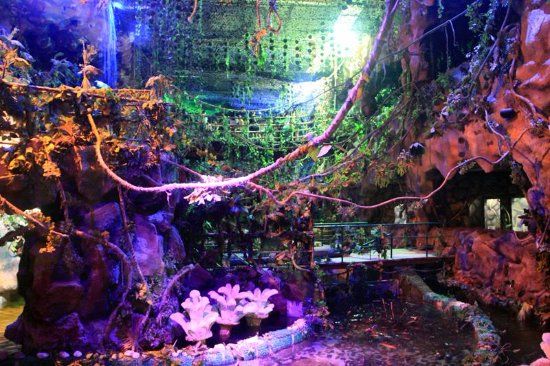 Duman Entertainment Centre